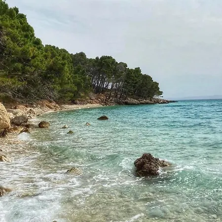 公寓 Vela 马卡尔斯卡