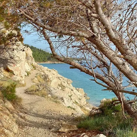 Vela Makarska