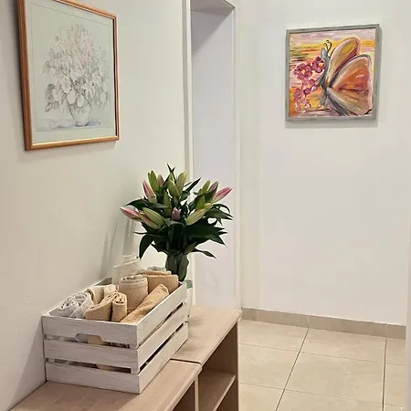 Vela 马卡尔斯卡