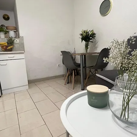 Vela * 马卡尔斯卡