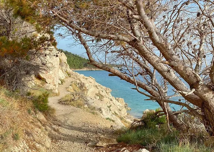 Vela Μακάρσκα