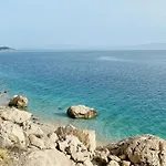 Vela
