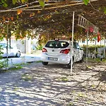Vela * ماكارسكا
